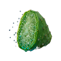 High-Desert Nopal Cactus Extract for Ocular Hydration in VREW by Lenmis