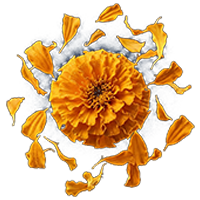 XanMax Marigold Lutein for Eye Health in VREW by Lenmis