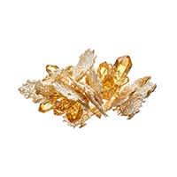 Yeast Beta Glucan Immune and Cellular Defense in VREW by Lenmis